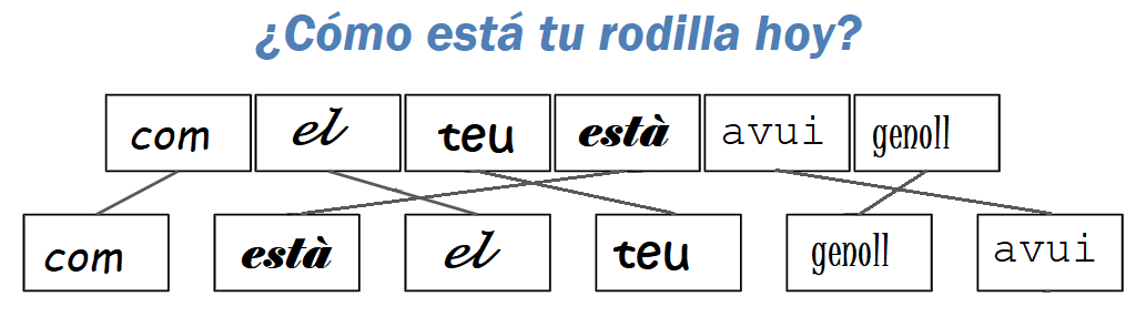 Construyendo una oración